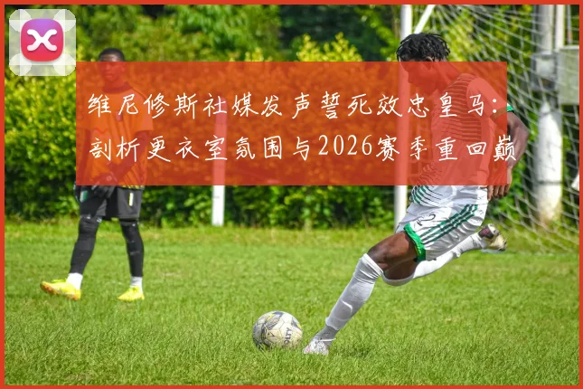 维尼修斯社媒发声誓死效忠皇马:剖析更衣室氛围与2026赛季重回巅峰之路